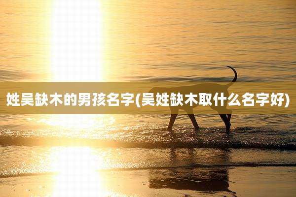 姓吴缺木的男孩名字(吴姓缺木取什么名字好)