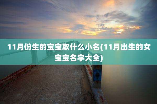 11月份生的宝宝取什么小名(11月出生的女宝宝名字大全)