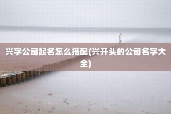 兴字公司起名怎么搭配(兴开头的公司名字大全)