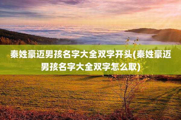 秦姓豪迈男孩名字大全双字开头(秦姓豪迈男孩名字大全双字怎么取)