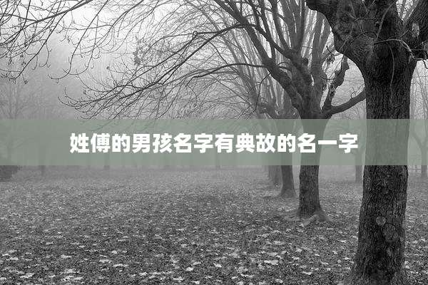 姓傅的男孩名字有典故的名一字