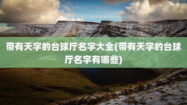 带有天字的台球厅名字大全(带有天字的台球厅名字有哪些)
