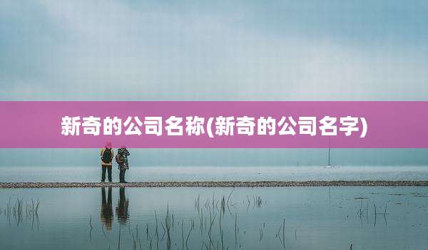 新奇的公司名称(新奇的公司名字)