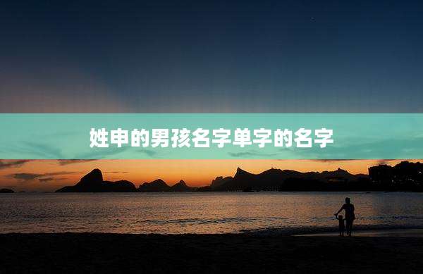 姓申的男孩名字单字的名字