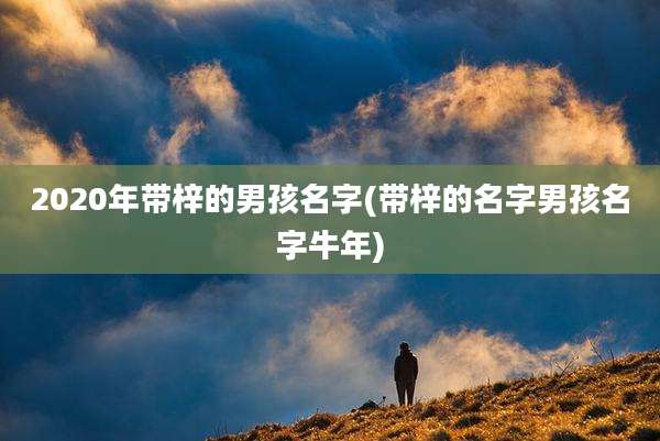 2020年带梓的男孩名字(带梓的名字男孩名字牛年)