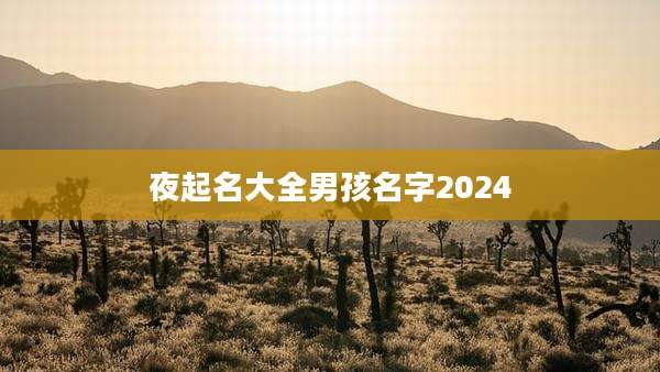 夜起名大全男孩名字2024