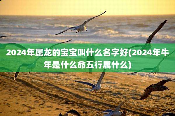 2024年属龙的宝宝叫什么名字好(2024年牛年是什么命五行属什么)