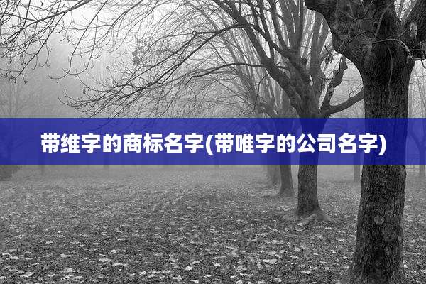 带维字的商标名字(带唯字的公司名字)