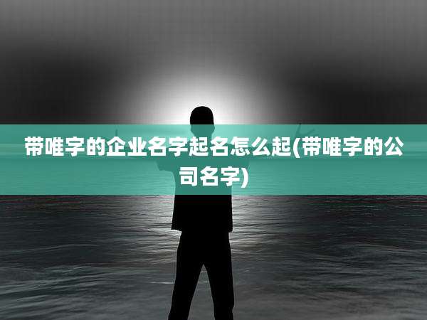 带唯字的企业名字起名怎么起(带唯字的公司名字)