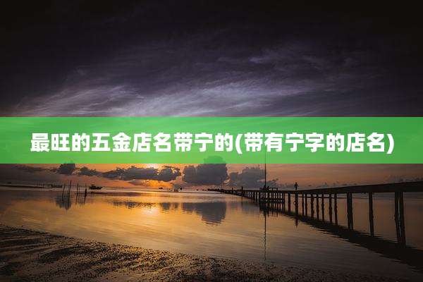 最旺的五金店名带宁的(带有宁字的店名)
