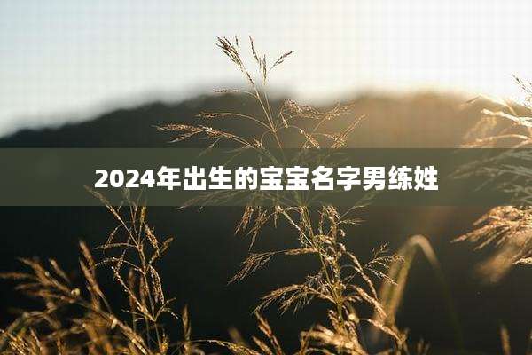 2024年出生的宝宝名字男练姓