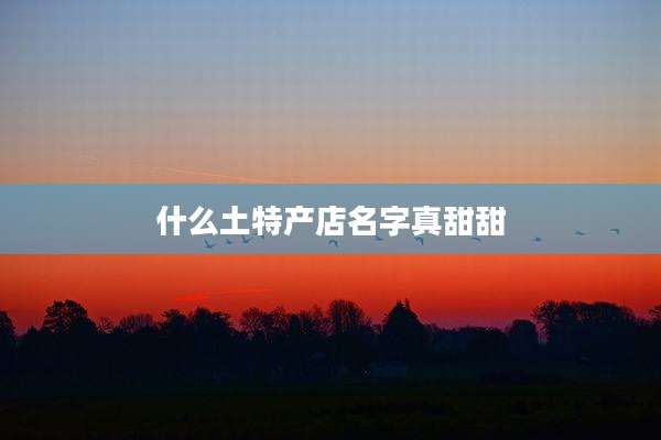 什么土特产店名字真甜甜
