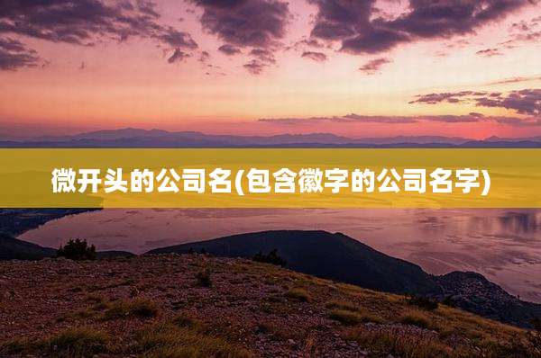 微开头的公司名(包含徽字的公司名字)