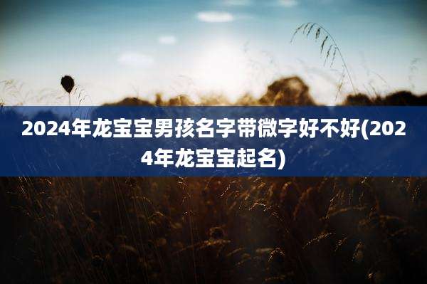 2024年龙宝宝男孩名字带微字好不好(2024年龙宝宝起名)