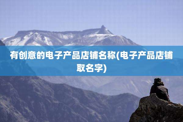 有创意的电子产品店铺名称(电子产品店铺取名字)