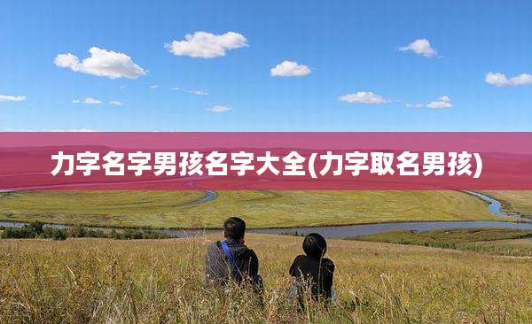 力字名字男孩名字大全(力字取名男孩)