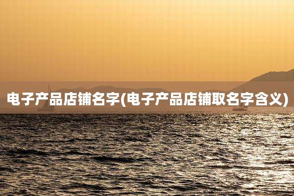 电子产品店铺名字(电子产品店铺取名字含义)