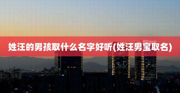 姓汪的男孩取什么名字好听(姓汪男宝取名)