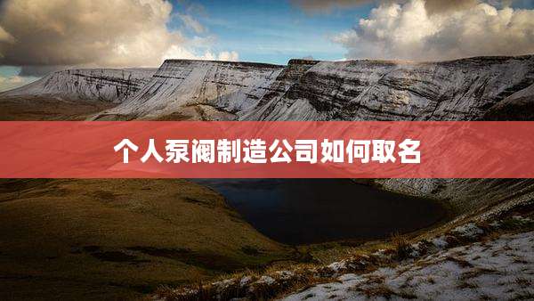 个人泵阀制造公司如何取名