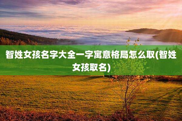 智姓女孩名字大全一字寓意格局怎么取(智姓女孩取名)