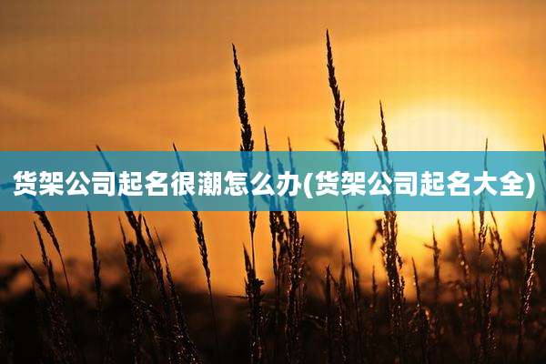 货架公司起名很潮怎么办(货架公司起名大全)
