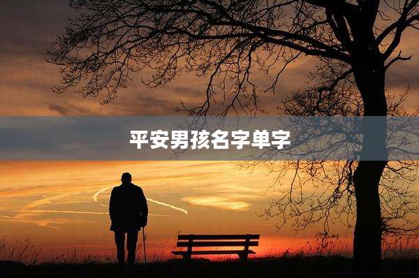 平安男孩名字单字