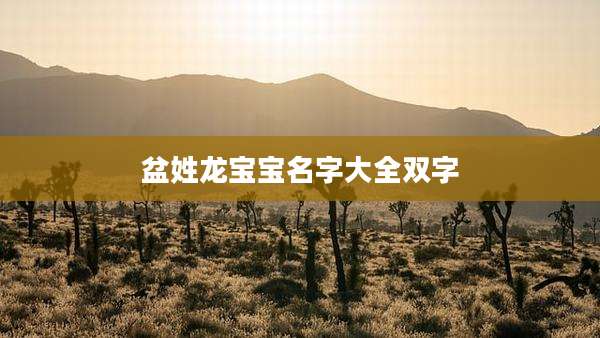 盆姓龙宝宝名字大全双字