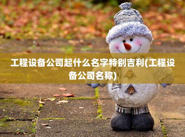 工程设备公司起什么名字特别吉利(工程设备公司名称)