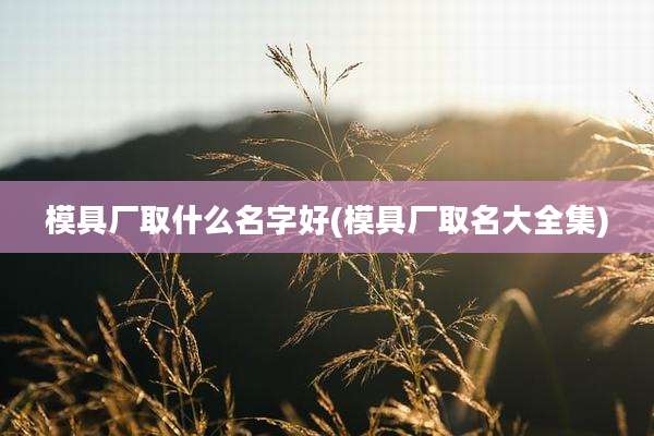 模具厂取什么名字好(模具厂取名大全集)