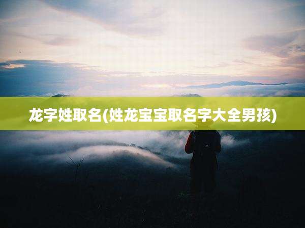 龙字姓取名(姓龙宝宝取名字大全男孩)