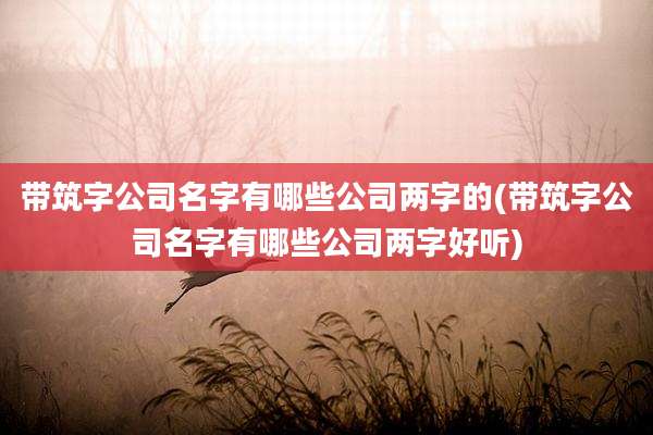 带筑字公司名字有哪些公司两字的(带筑字公司名字有哪些公司两字好听)