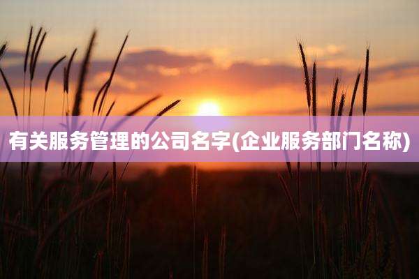 有关服务管理的公司名字(企业服务部门名称)
