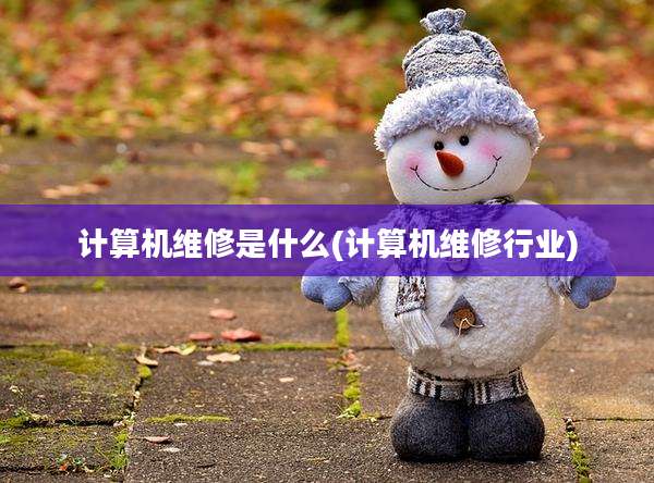 计算机维修是什么(计算机维修行业)
