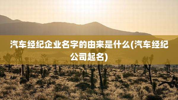 汽车经纪企业名字的由来是什么(汽车经纪公司起名)