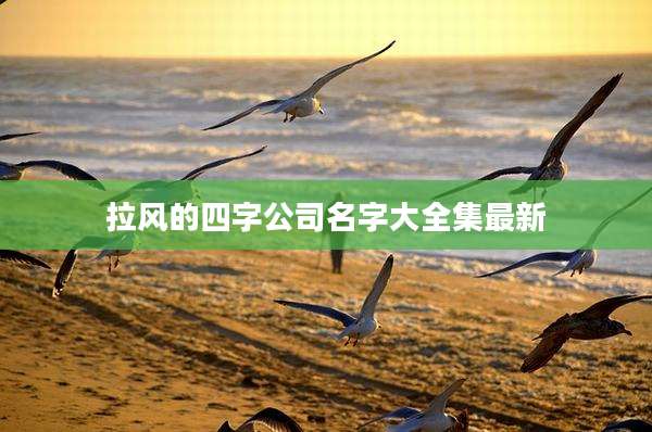 拉风的四字公司名字大全集最新