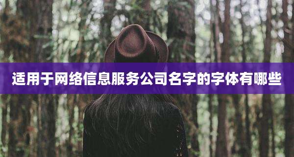 适用于网络信息服务公司名字的字体有哪些