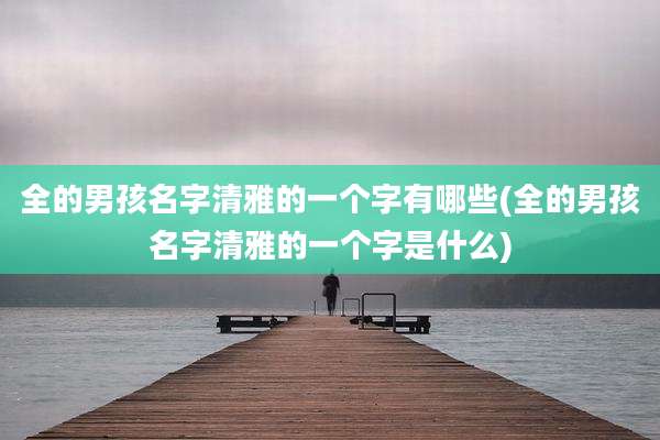 全的男孩名字清雅的一个字有哪些(全的男孩名字清雅的一个字是什么)