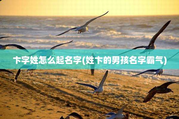 卞字姓怎么起名字(姓卞的男孩名字霸气)