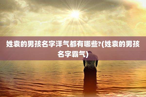 姓袁的男孩名字洋气都有哪些?(姓袁的男孩名字霸气)