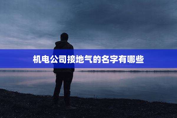 机电公司接地气的名字有哪些