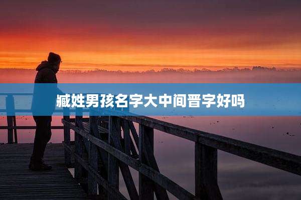 臧姓男孩名字大中间晋字好吗