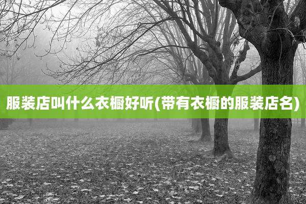 服装店叫什么衣橱好听(带有衣橱的服装店名)