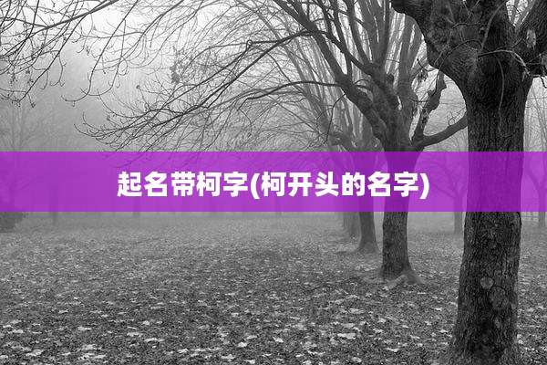 起名带柯字(柯开头的名字)