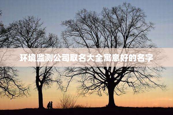 环境监测公司取名大全寓意好的名字