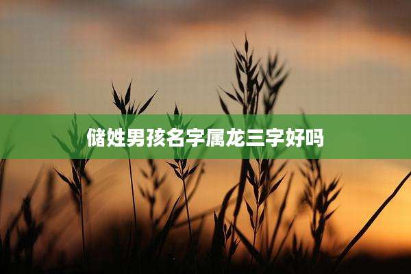 储姓男孩名字属龙三字好吗
