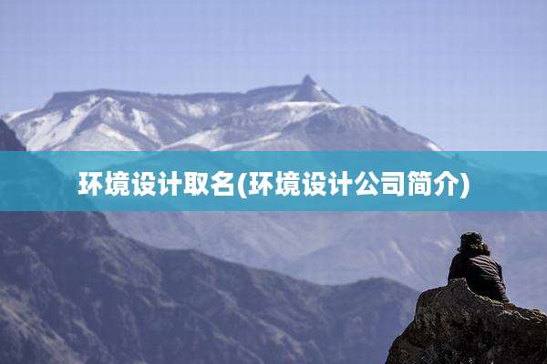 环境设计取名(环境设计公司简介)
