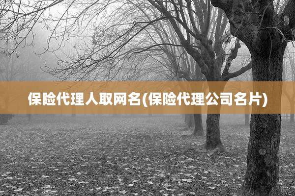 保险代理人取网名(保险代理公司名片)