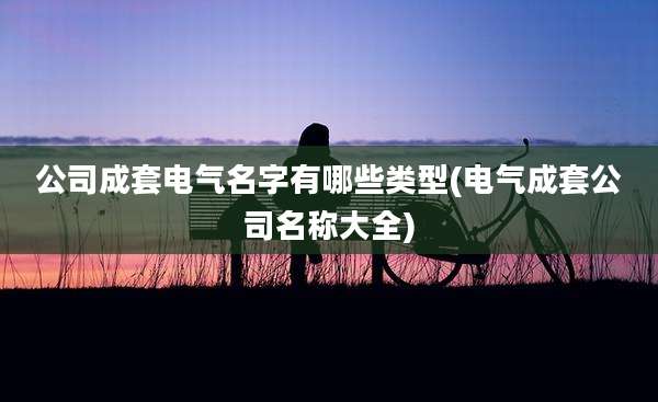 公司成套电气名字有哪些类型(电气成套公司名称大全)