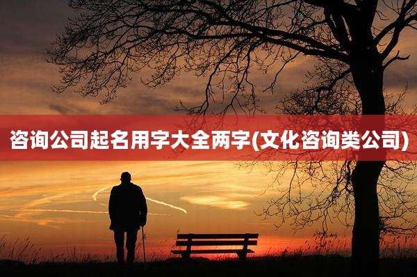 咨询公司起名用字大全两字(文化咨询类公司)