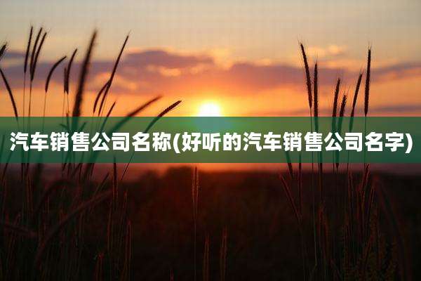 汽车销售公司名称(好听的汽车销售公司名字)
